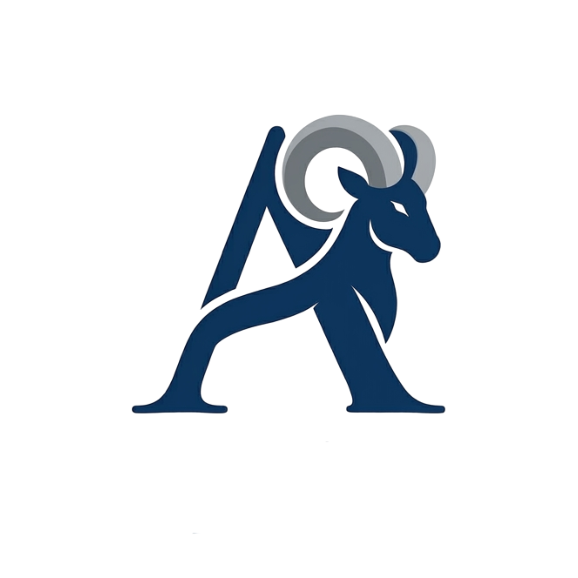 OliRam Advisors